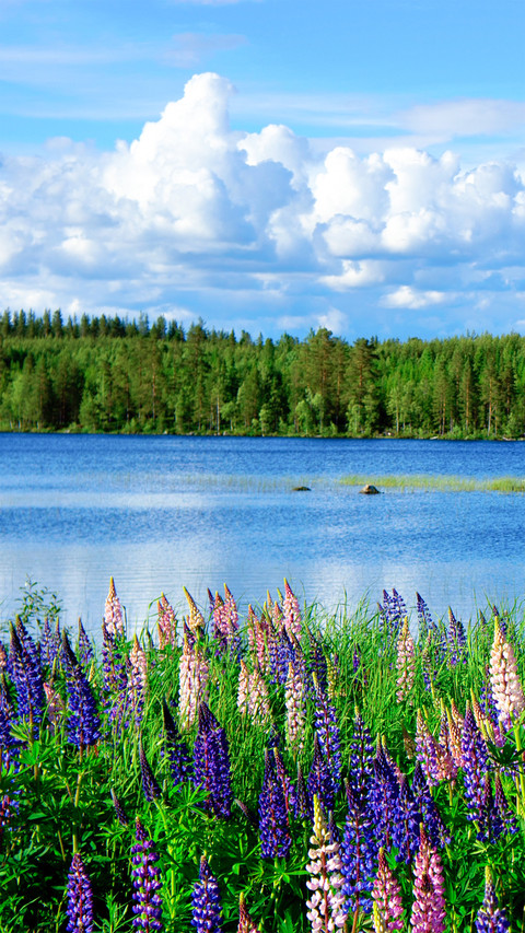 夏季护眼绿-拍信图库 preview