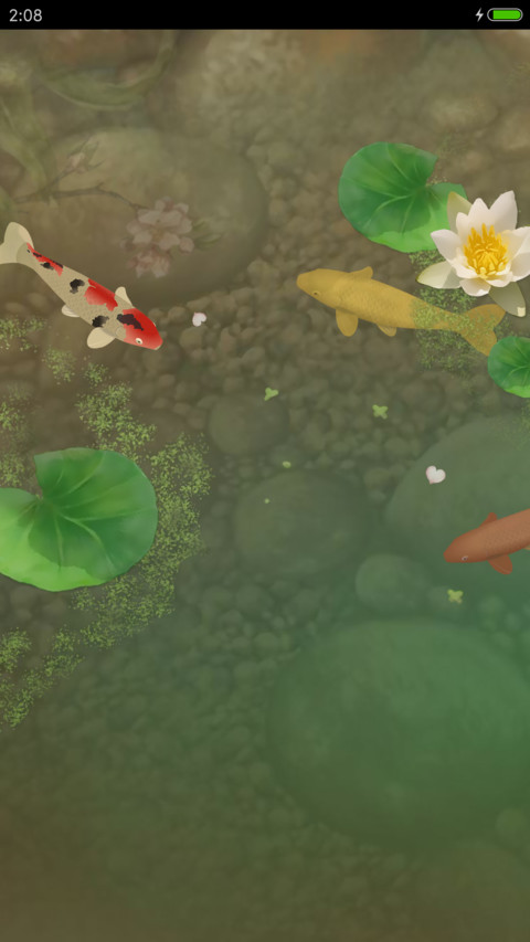 锦鲤之美 preview