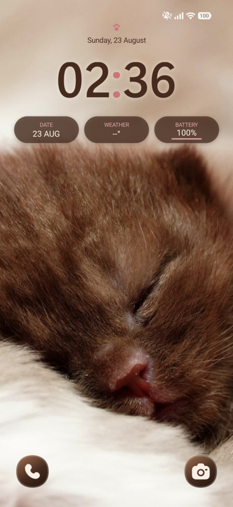 Velvet Kitten preview