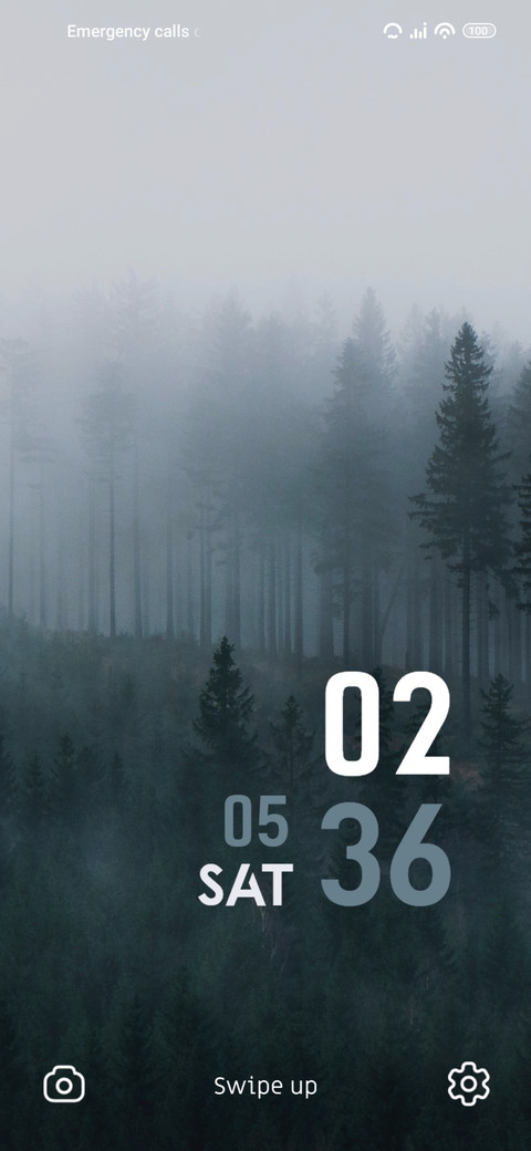 Fogg Forest preview