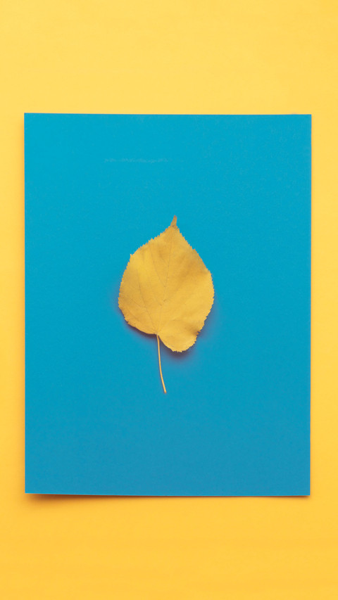 Creative wallpaper-10 preview