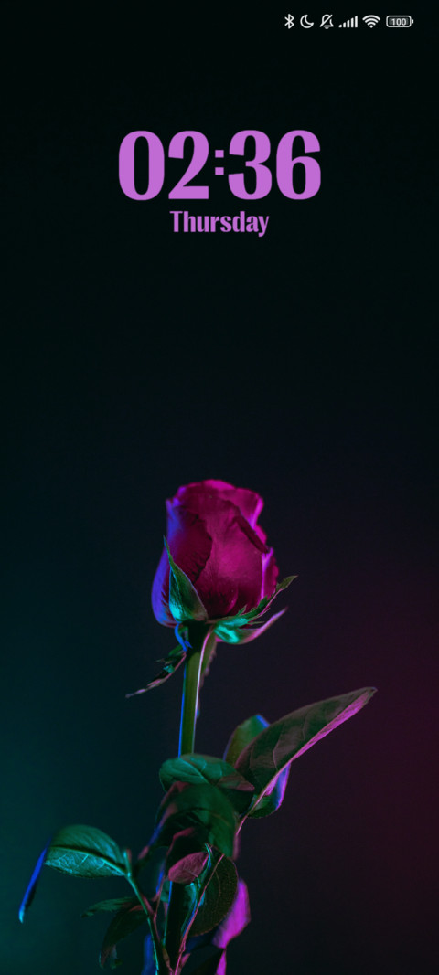 Neon Rose preview
