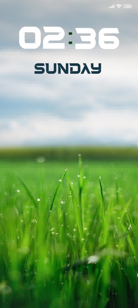 Grass preview