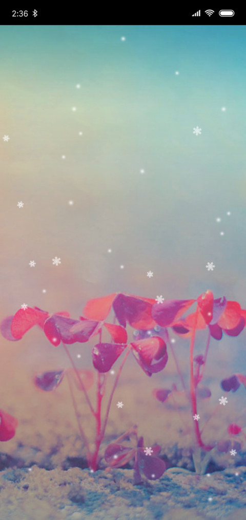 雪中花 preview
