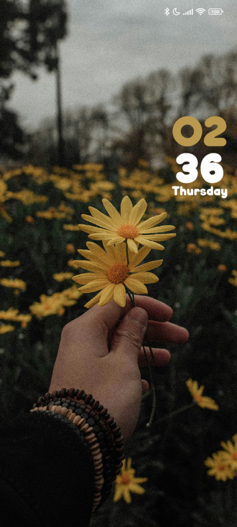 Yellow Daisy preview