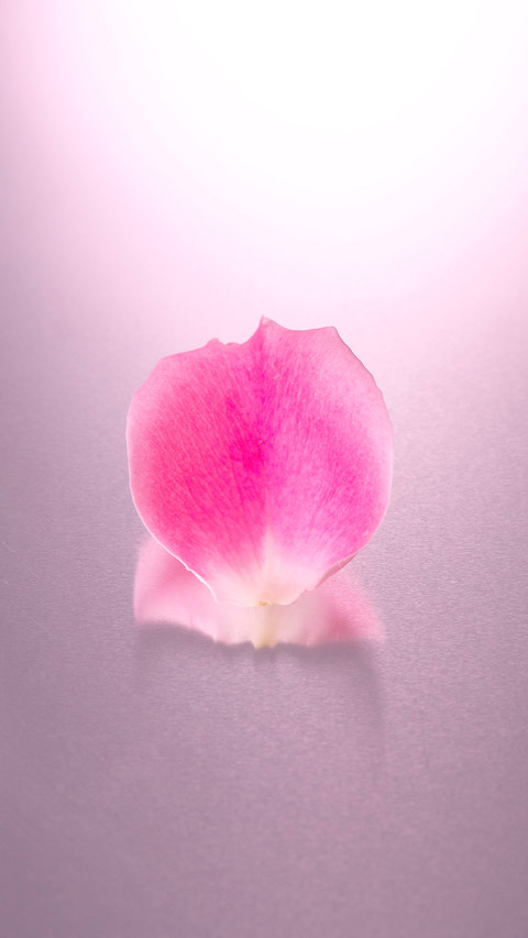Petal preview