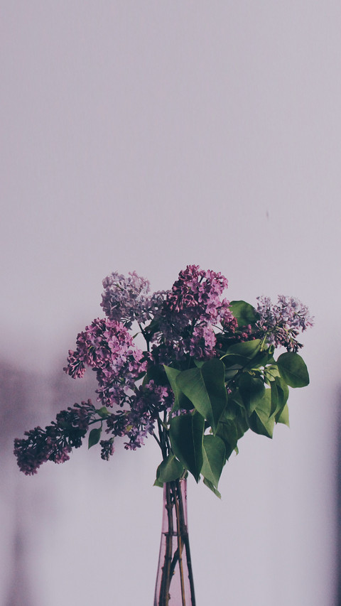 bouquet (4) preview