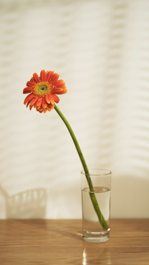 Learn to water flowers 2 preview