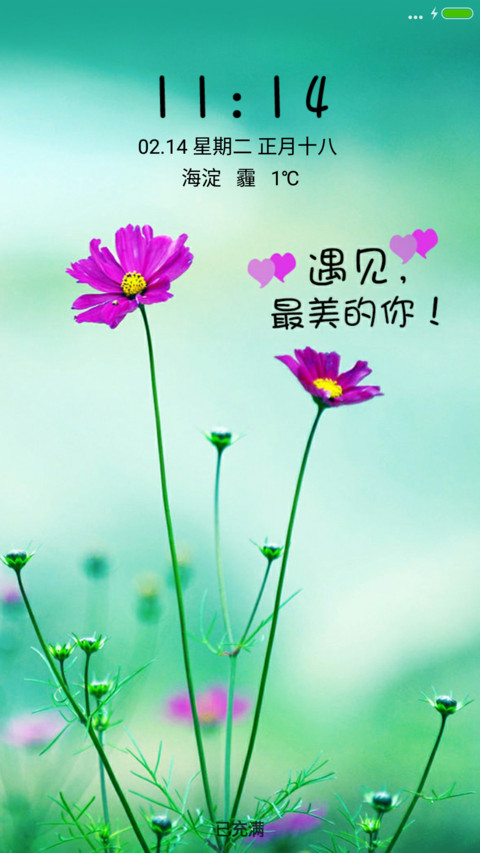花都开好了 preview