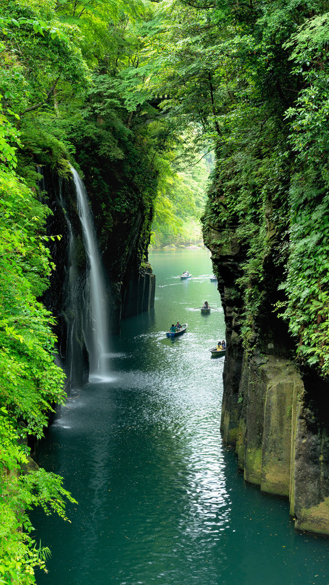 Miyazakis four seasons are picturesque preview