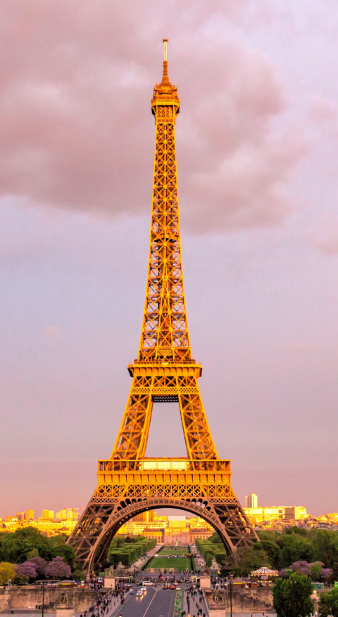 Paris (8) preview