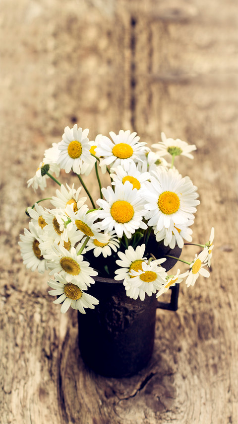 How to loosen flower soil 54 preview