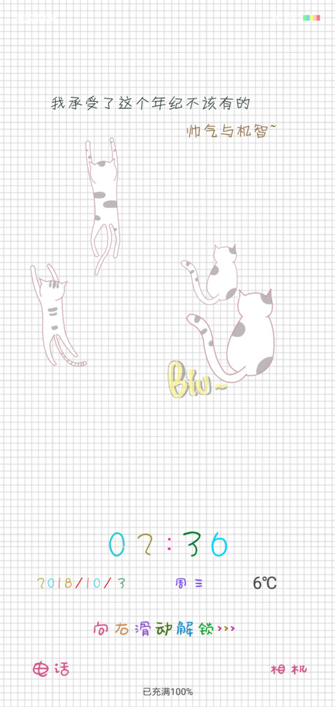 表情猫 preview