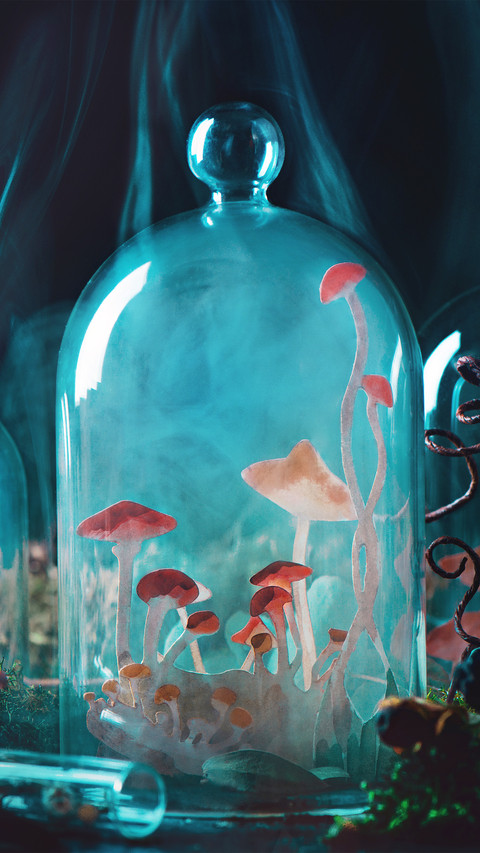 Halloween mushrooms preview