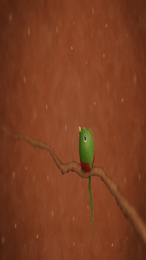 A bird preview