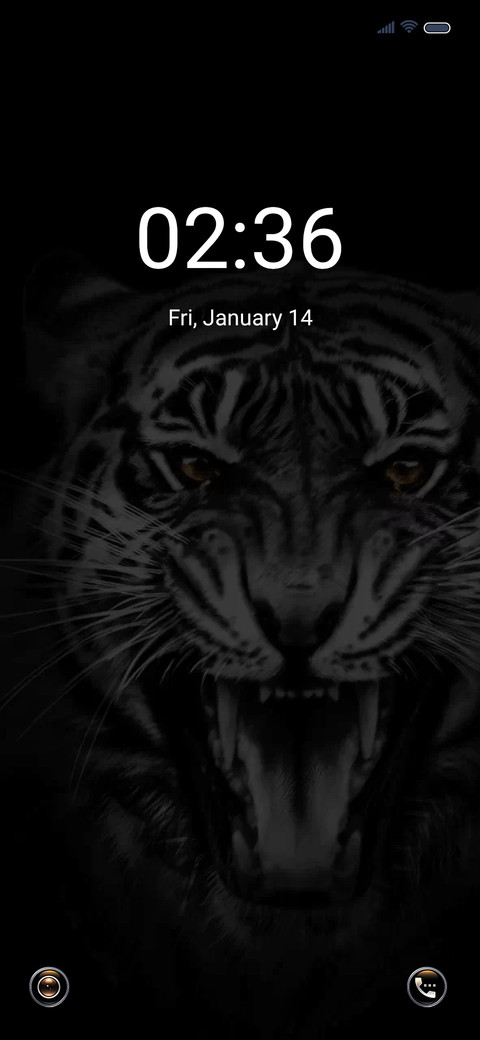 Roaring tiger preview