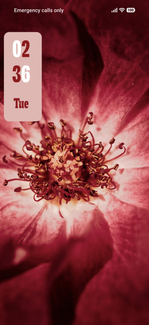 Red Flower preview