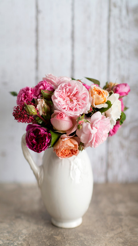 Spring festival flowers must know 01 preview