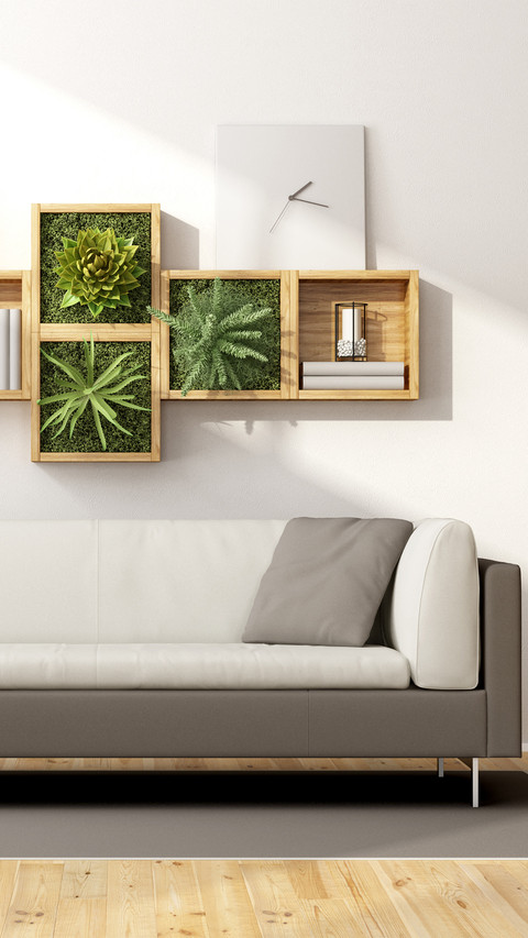 Fresh and healthy home 01 preview