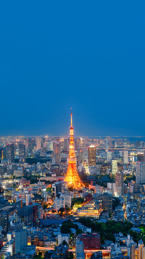 Tokyo Tower and urban skyline rooftop view at night preview