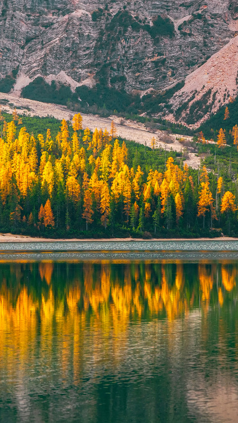 Lake in autumn preview
