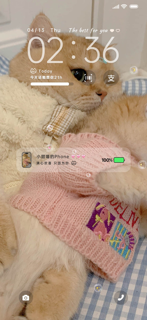 猫咪日记 多图 preview