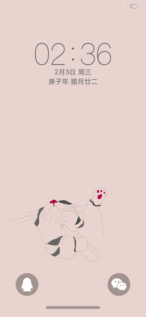 猫咪 preview