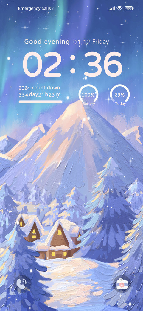 Winter aurora preview