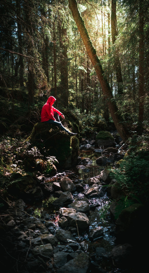 Hiking  (8) preview