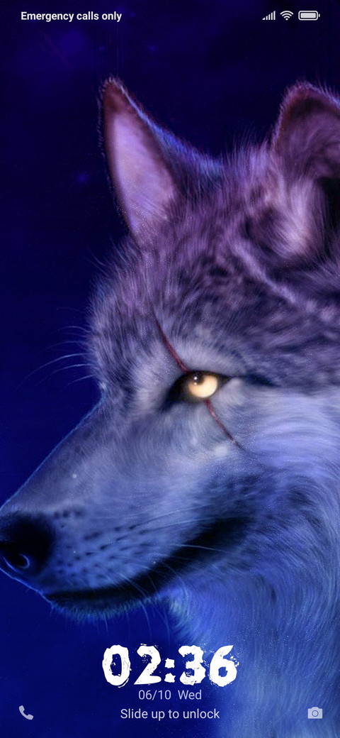Wolves NY preview