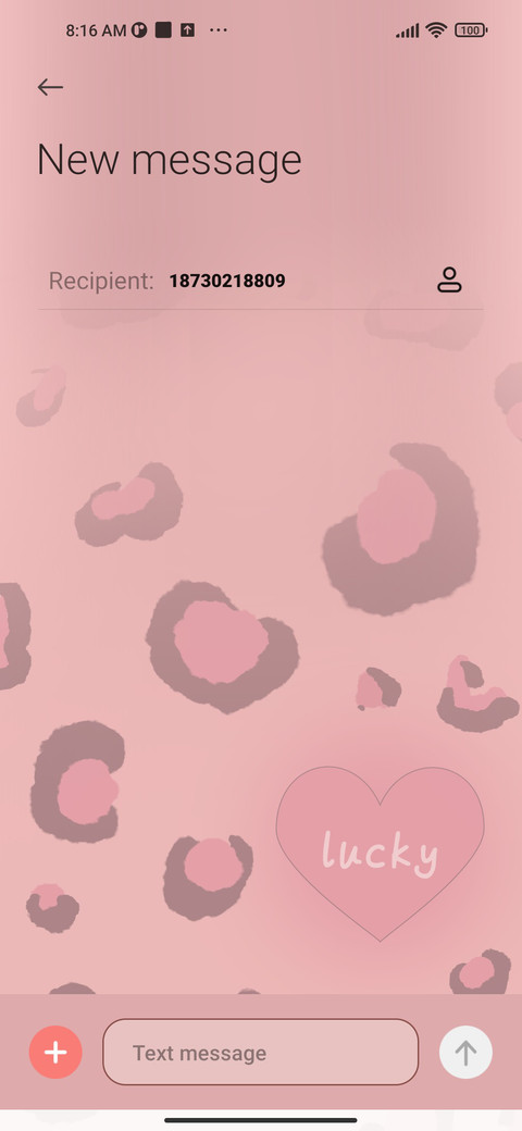 Ins Wind Leopard miui theme