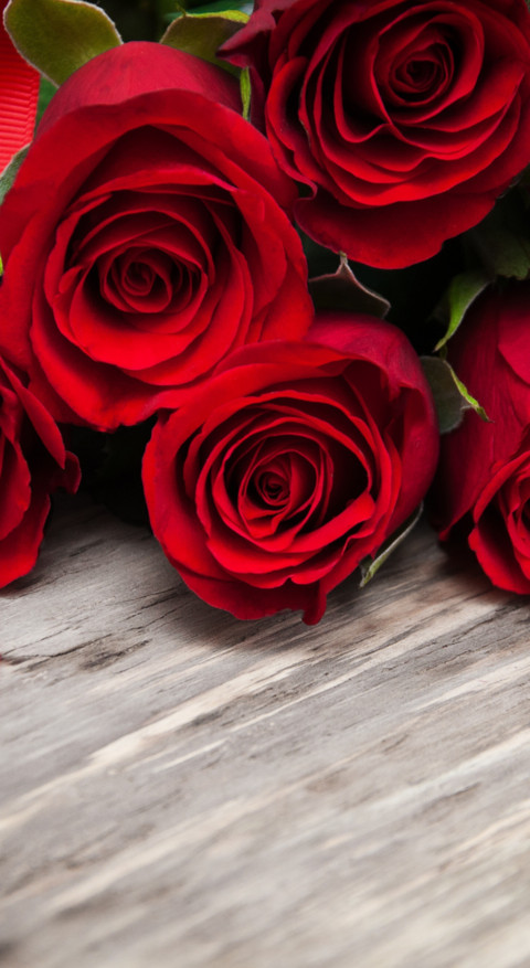 Red Roses (8) preview