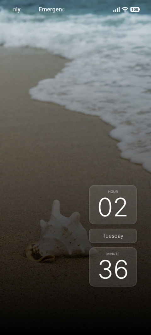 Sandy Shell preview