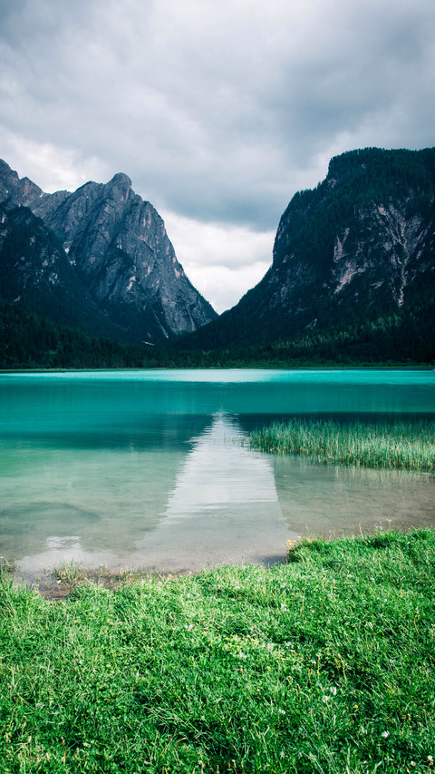 World Environmental Protection Day preview