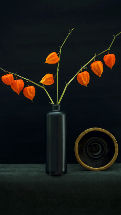 Still life of plants preview
