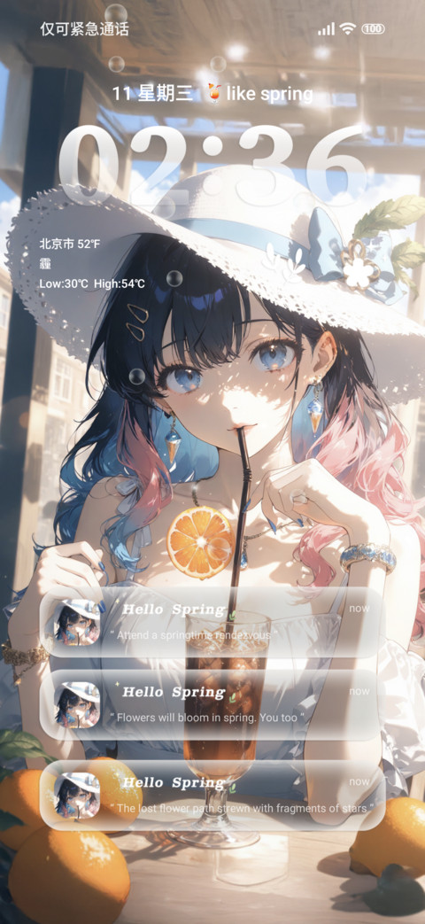 Vacation Girl preview