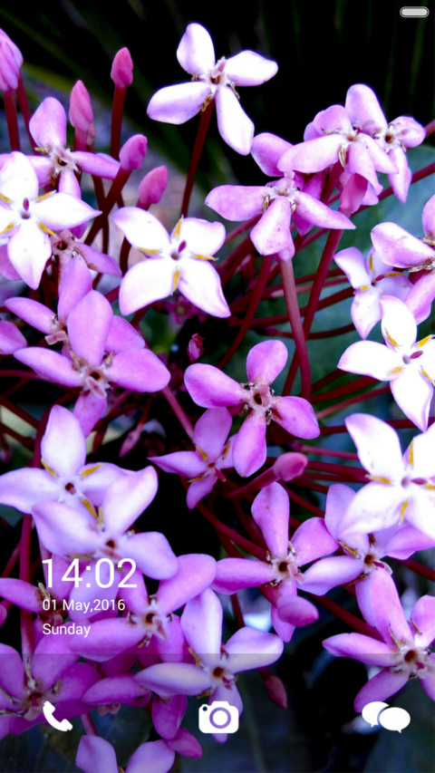  IN Flower Voilet preview