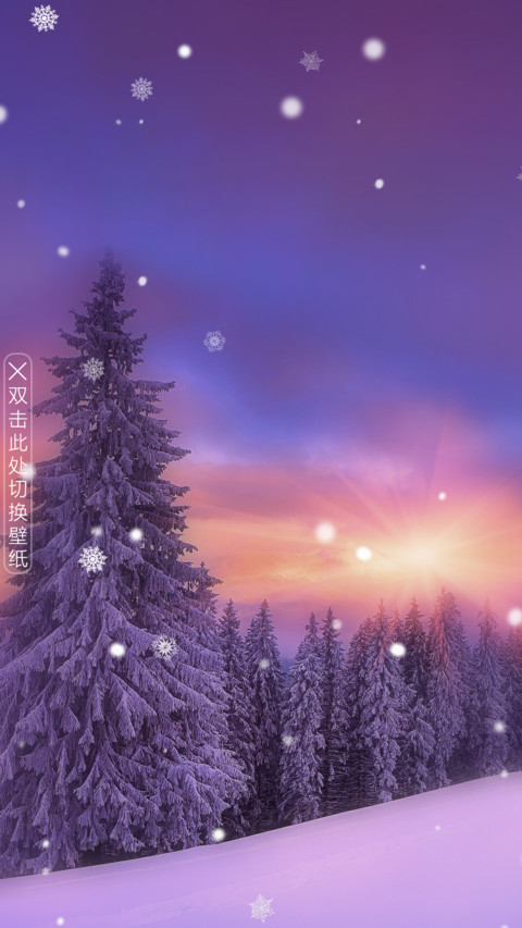 冬雪 preview