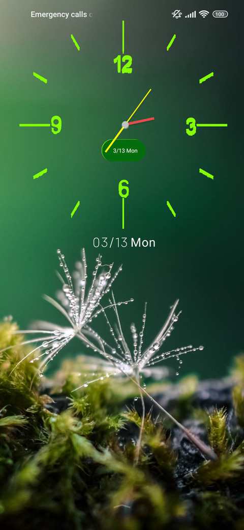 nature dandelion preview