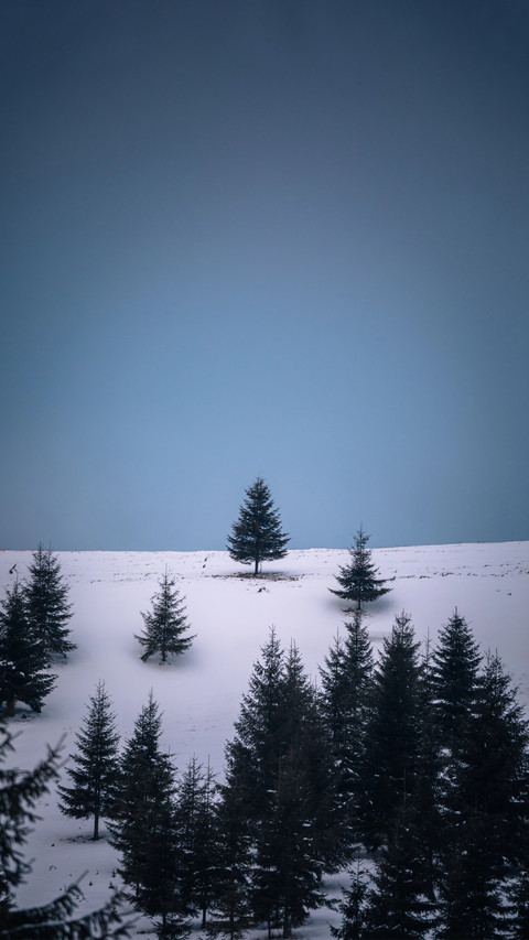 Lonely Winter preview