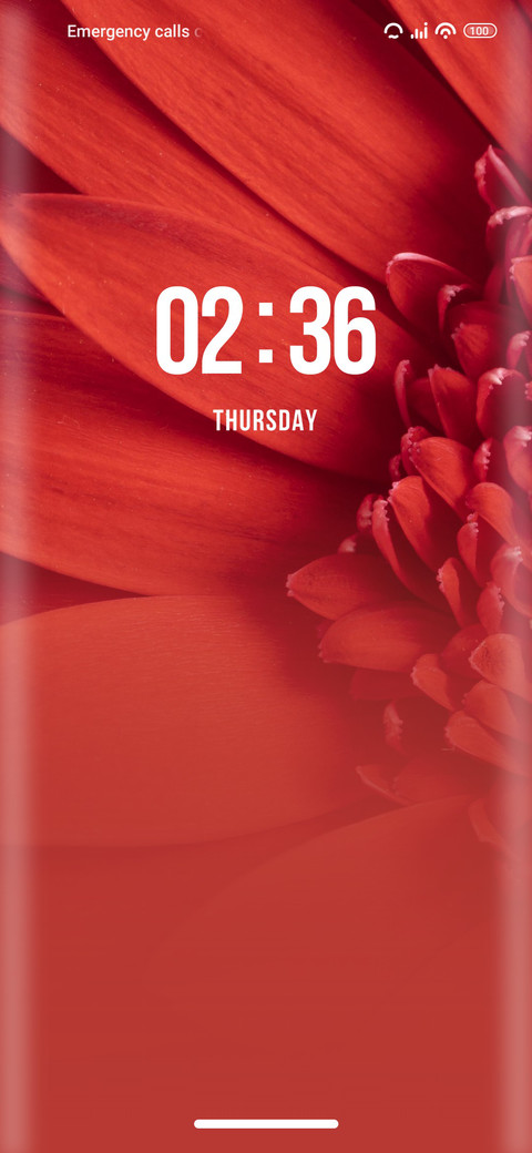 Daisy preview