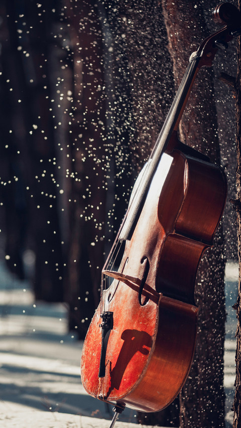 India-cello preview