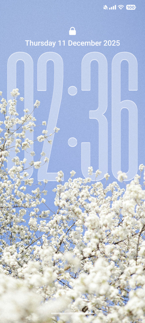 OX F3 MIUI Customization