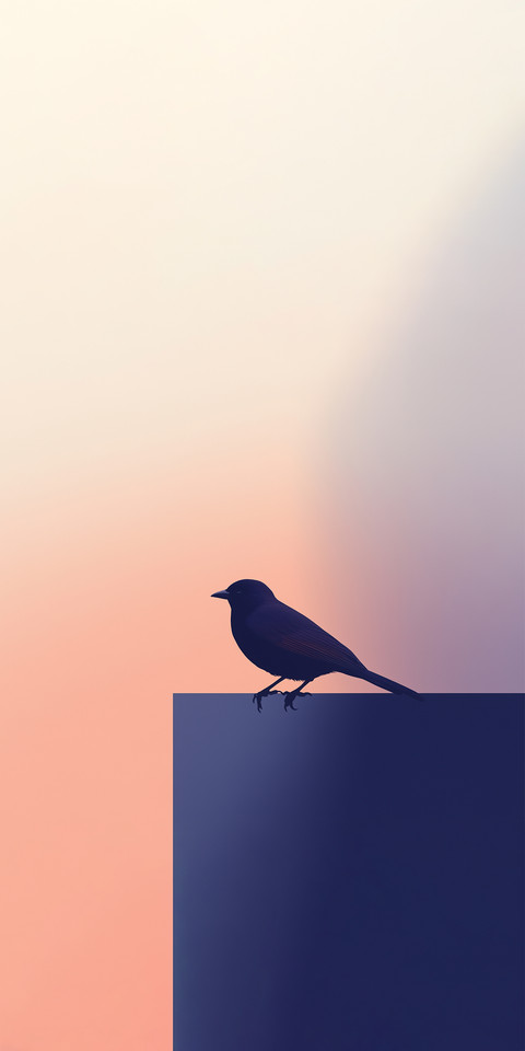 Silhouette1.jpg preview
