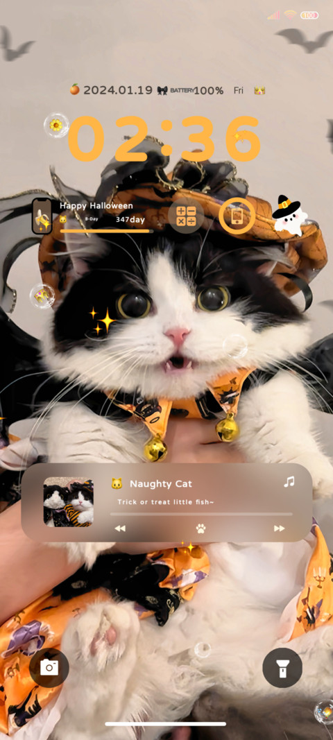 Cute Halloween cat preview