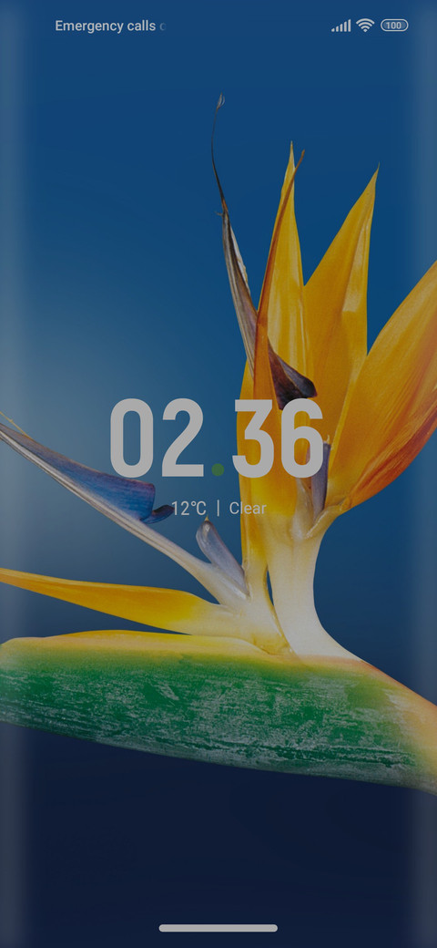 Flower_awesom preview
