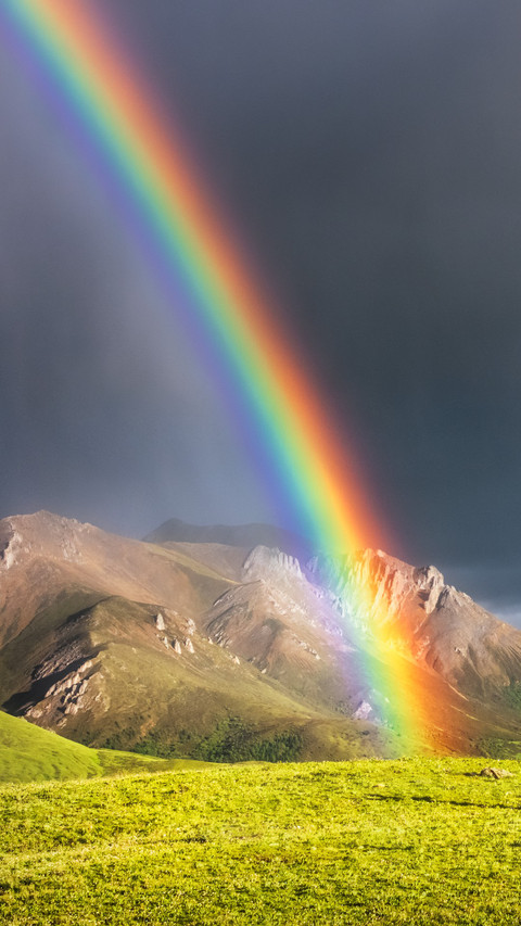 The light in the rainbow preview