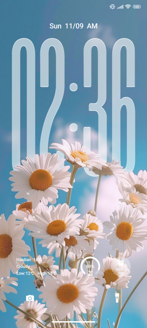 Flower preview