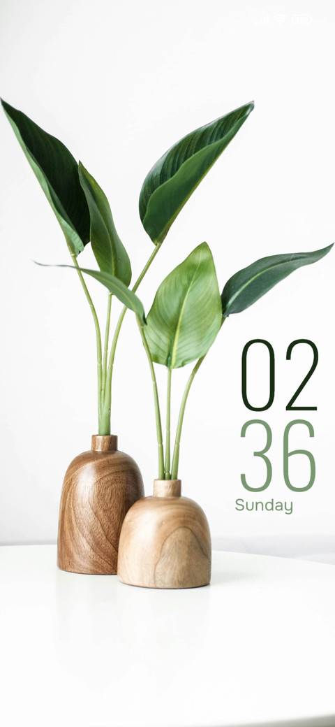 Wooden Vase preview