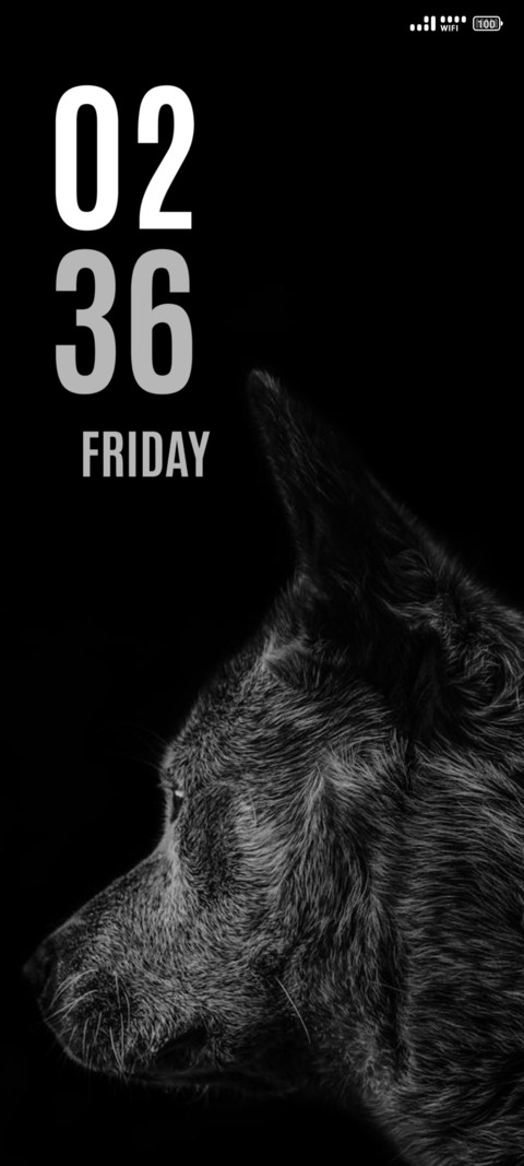 Wolf preview